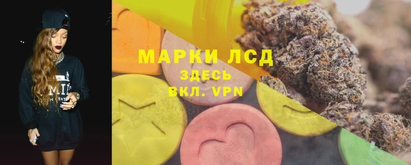 прущий лед Алзамай