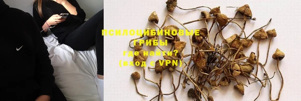 винт Алексин