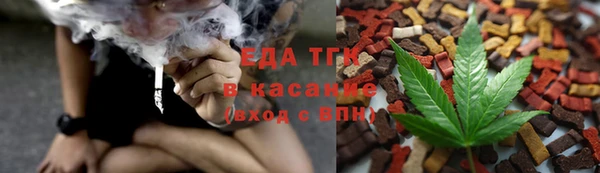 мдпв Гусев
