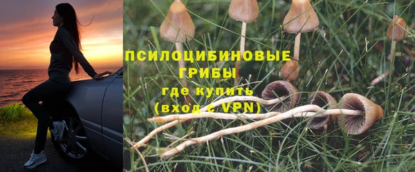 амф Абаза