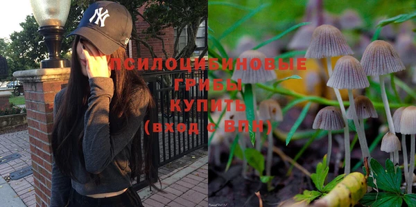 амф Абаза