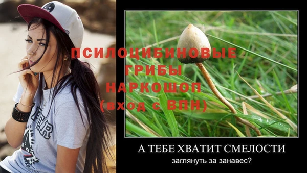 ПСИЛОЦИБИНОВЫЕ ГРИБЫ Абдулино