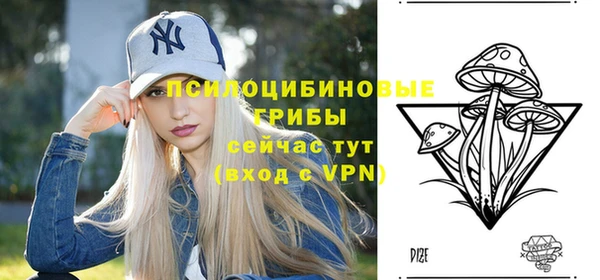 ПСИЛОЦИБИНОВЫЕ ГРИБЫ Абдулино