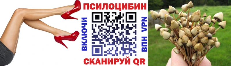 MEGA зеркало  Карачев  это состав  Галлюциногенные грибы прущие грибы 