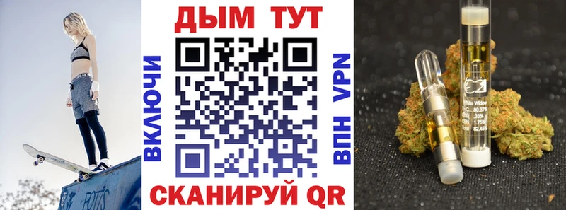 Бошки марихуана план  купить наркотики цена  Карачев 